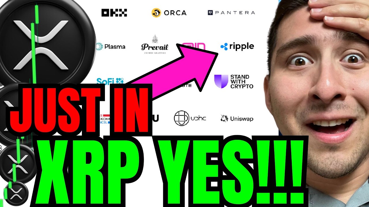 XRP It's HAPPENING! XRP HOLDERS BIG CLARITY Coalition NEWS