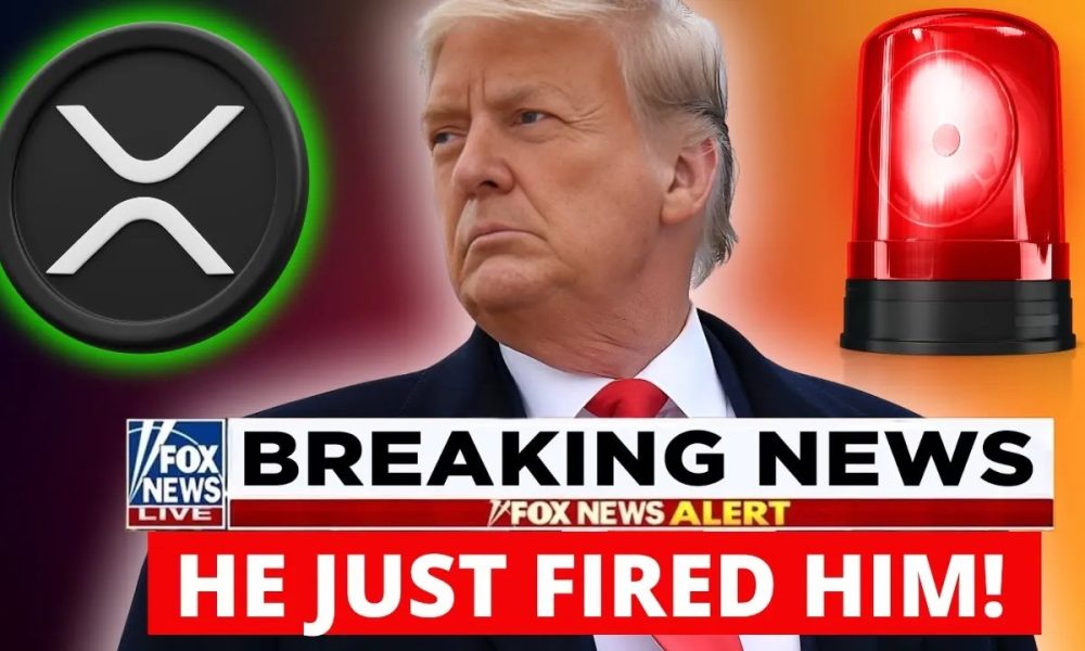XRP JUST IN!!! TRUMP JUST FIRED HIM!