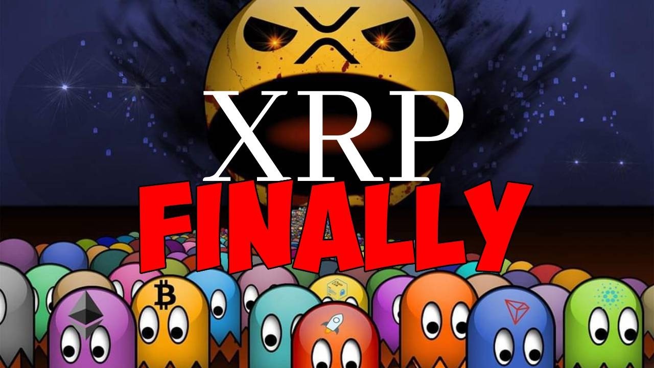 Ripple XRP TRUMP IS ABOUT TO TRIGGER ALTSEASON READY OR NOT!