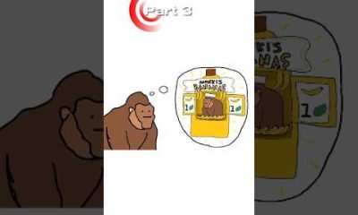 Stocks explained with bananas #finance #investing