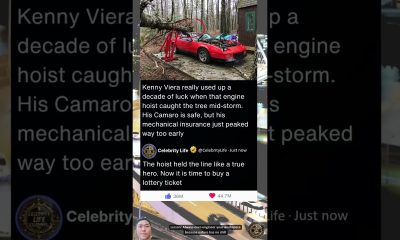 Is mechanical luck better than financial stability in 2026?