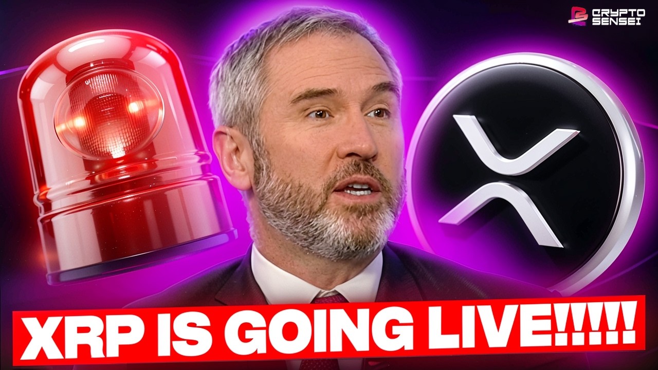 THEY'RE MOVING NOW!!!! XRP IS GOING LIVE?!?!?!!!!