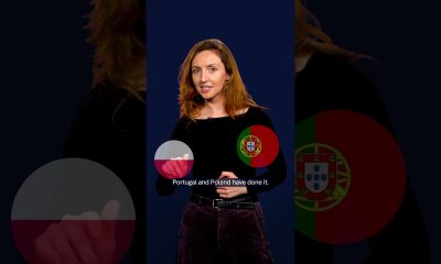 China's cheap 'panda bond' loans expand financial influence in Europe | DW News