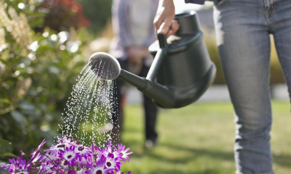 You are risking damaging your garden with 'common mistake'