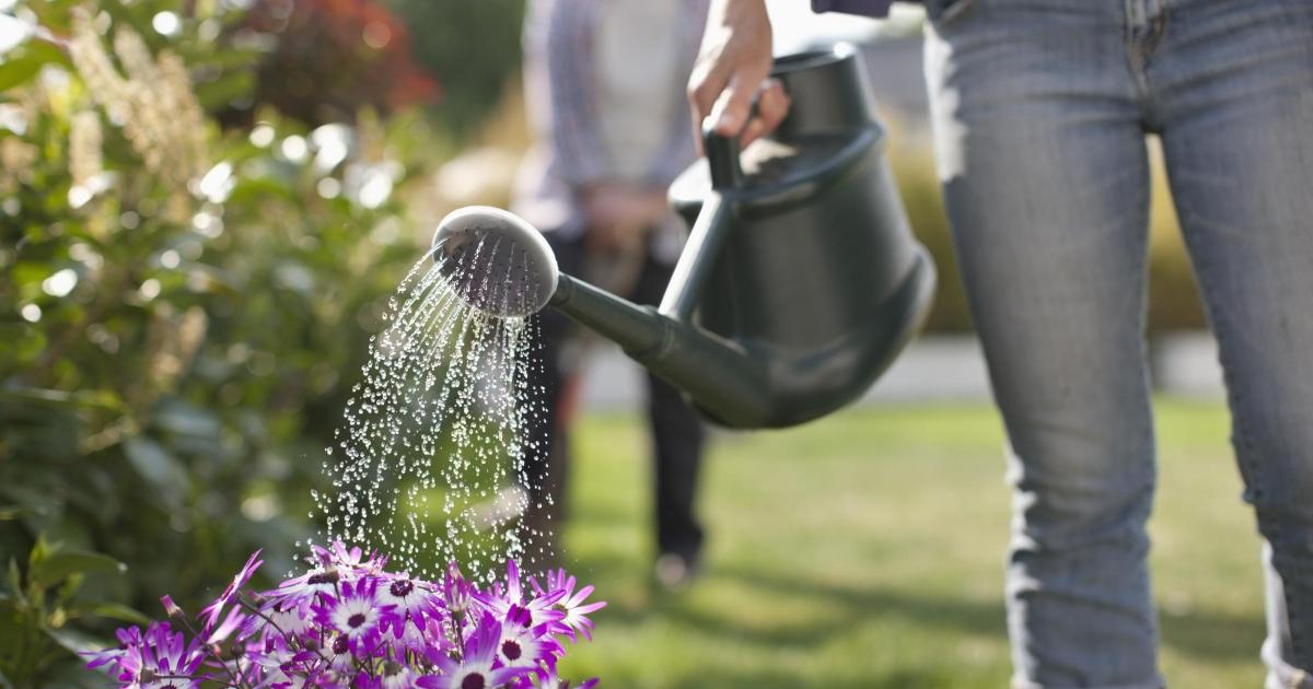 You are risking damaging your garden with 'common mistake'