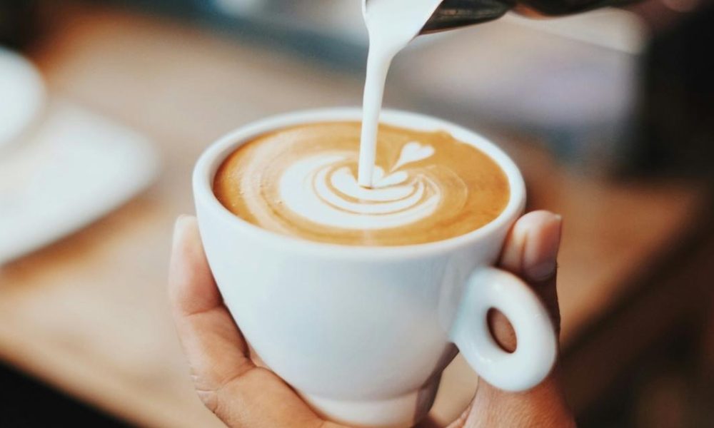 Bishopthorpe Road- Dark Horse Espresso Bar pergola plan