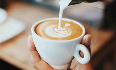 Bishopthorpe Road- Dark Horse Espresso Bar pergola plan