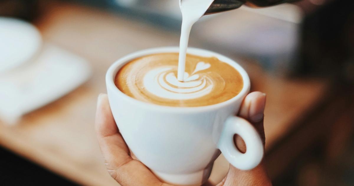 Bishopthorpe Road- Dark Horse Espresso Bar pergola plan