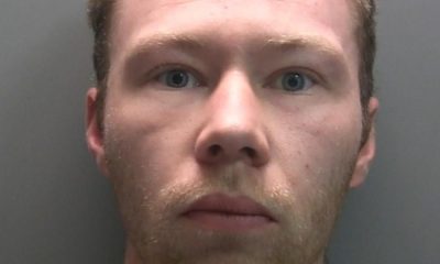 Man who cut down Sycamore Gap tree released from prison