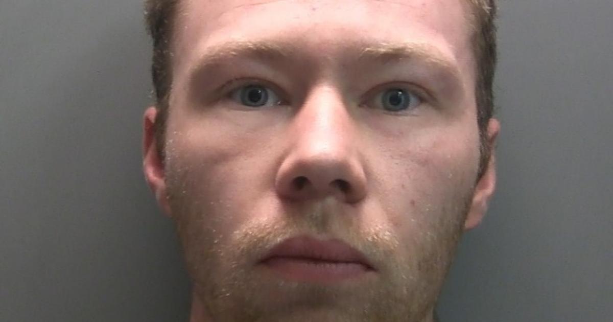 Man who cut down Sycamore Gap tree released from prison