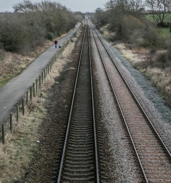 Tree removed from rail track between York and Malton