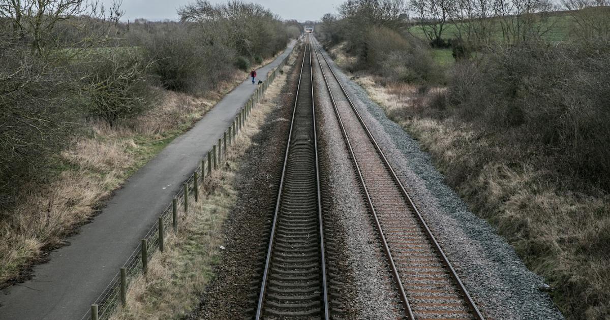 Tree removed from rail track between York and Malton
