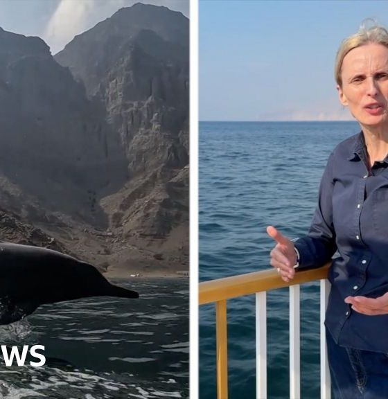 BBC reports near Strait of Hormuz