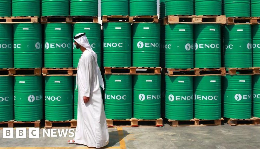 Faisal Islam: Why the UAE's exit from Opec is a big deal