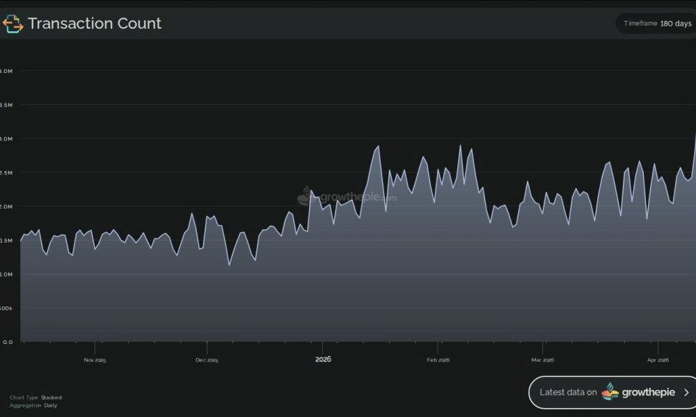Ethereum Transaction Activity.