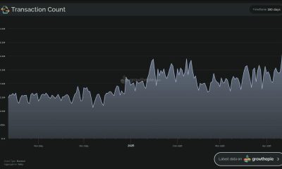 Ethereum Transaction Activity.