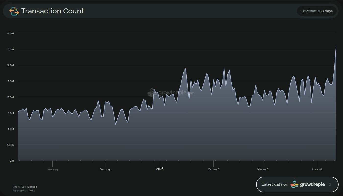 Ethereum Transaction Activity.