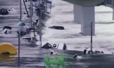 2011 Great East Japan Earthquake