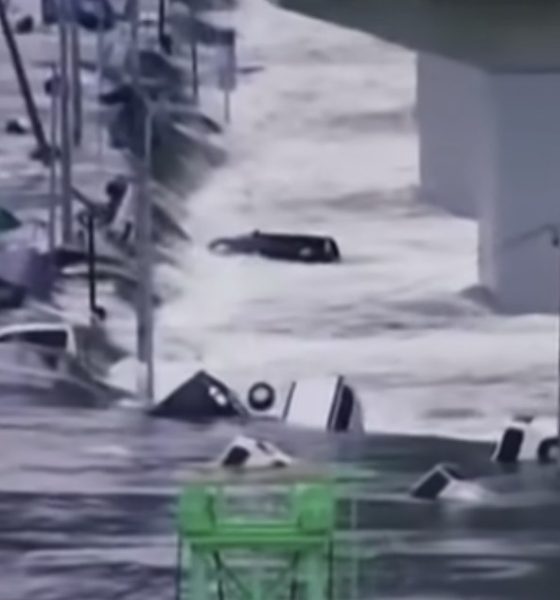 2011 Great East Japan Earthquake