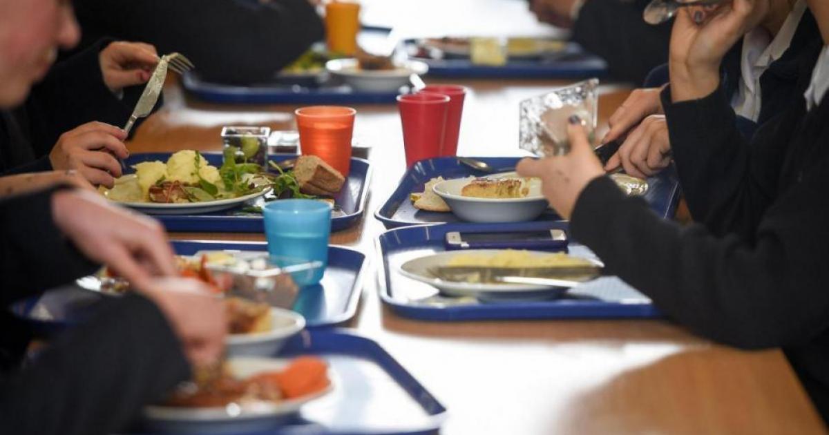 'It's no wonder kids are obese - these are the reasons'