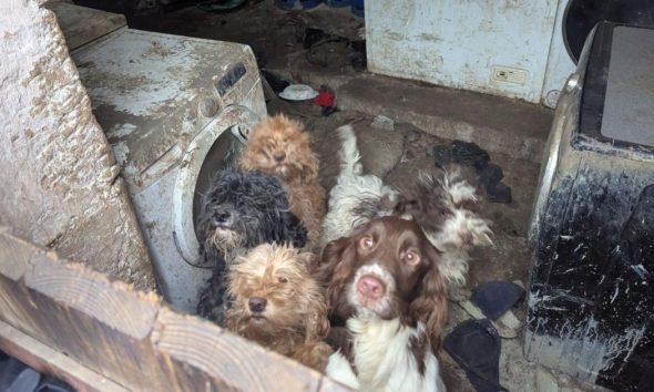 'Lenient' Barnard Castle women's jail terms won't face review