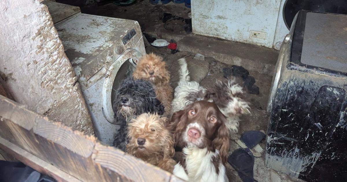 'Lenient' Barnard Castle women's jail terms won't face review