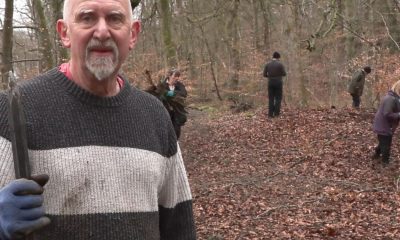 Pink rhododendron plant takes over Smithills Estate