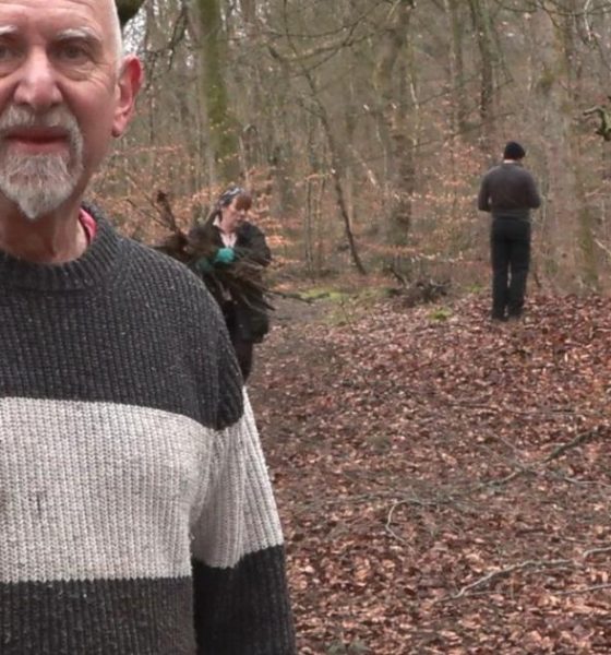 Pink rhododendron plant takes over Smithills Estate