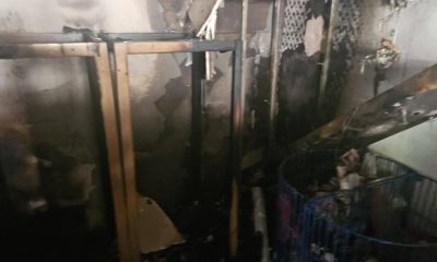 Thousands raised for Whitby Wildlife Sanctuary after fire