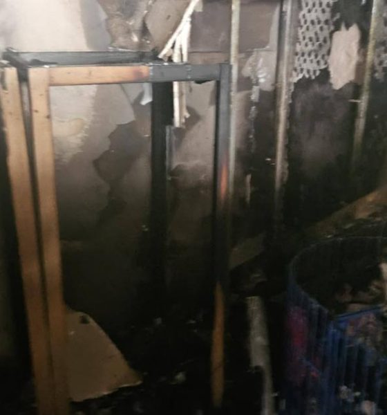 Thousands raised for Whitby Wildlife Sanctuary after fire