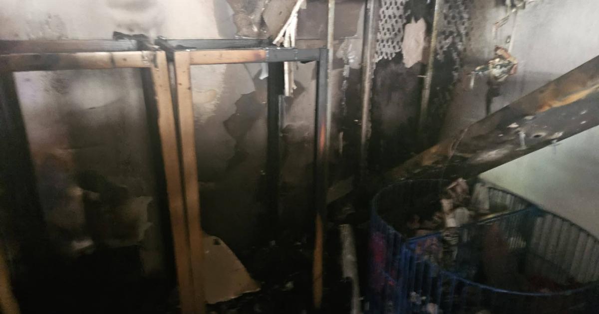 Thousands raised for Whitby Wildlife Sanctuary after fire