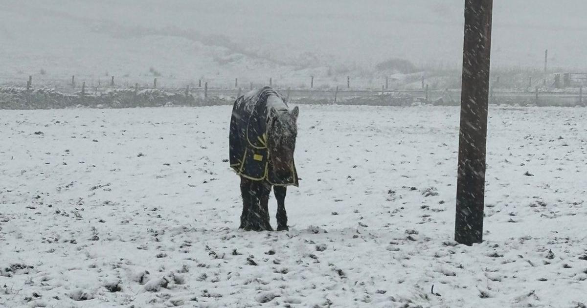 Bolton mother and daughter in court for neglecting pony