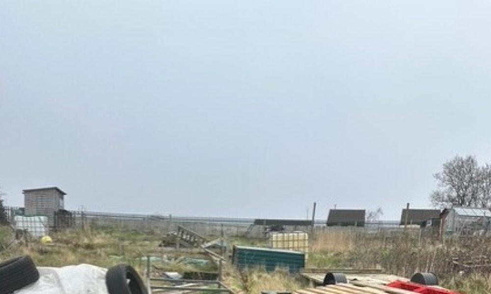 Scarborough allotments 'abandoned, derelict, or unused'
