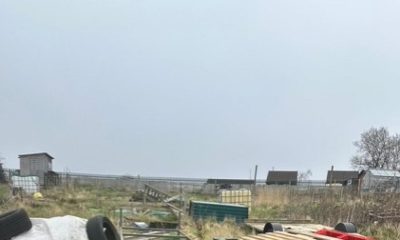 Scarborough allotments 'abandoned, derelict, or unused'