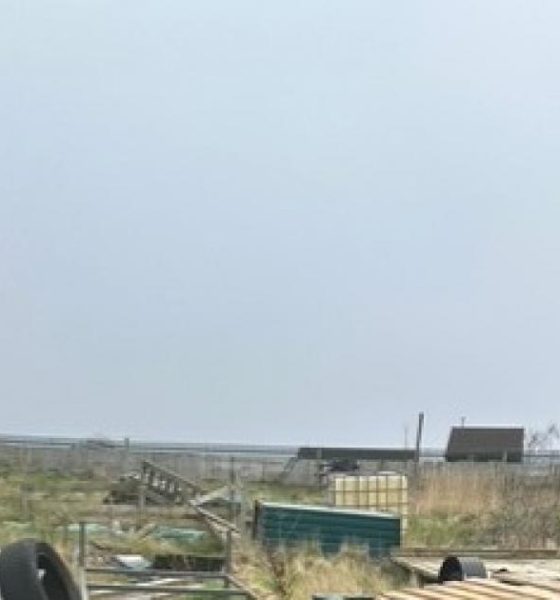 Scarborough allotments 'abandoned, derelict, or unused'