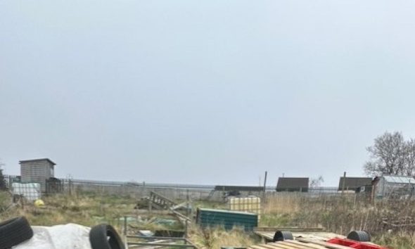 Scarborough allotments 'abandoned, derelict, or unused'