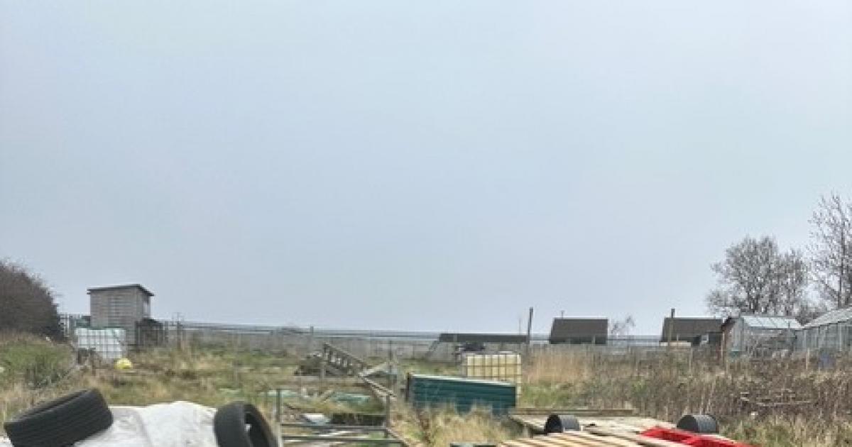 Scarborough allotments 'abandoned, derelict, or unused'