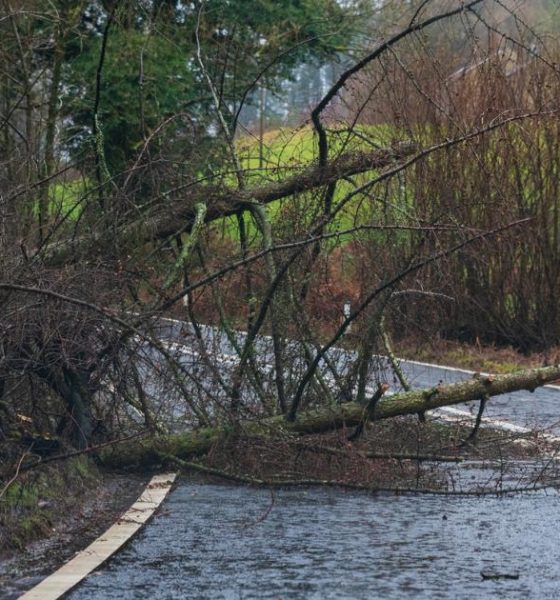 When will Storm Dave hit the UK with snow and strong winds?