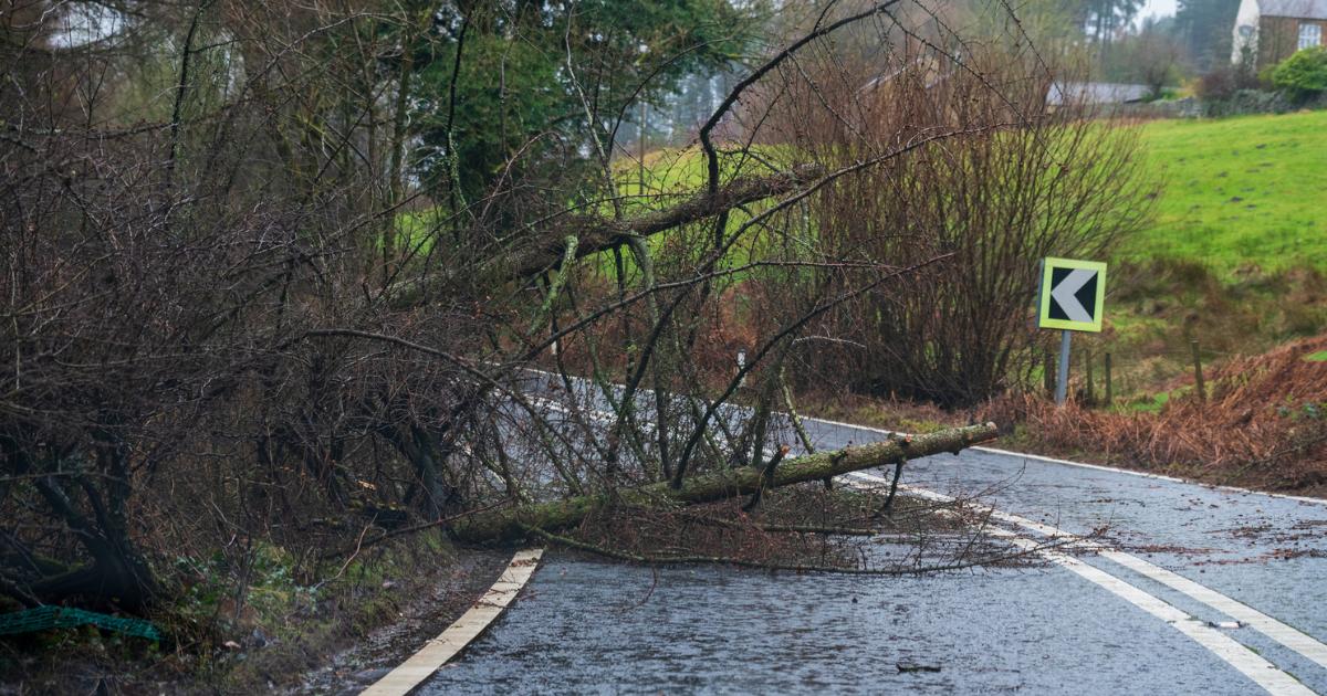 When will Storm Dave hit the UK with snow and strong winds?