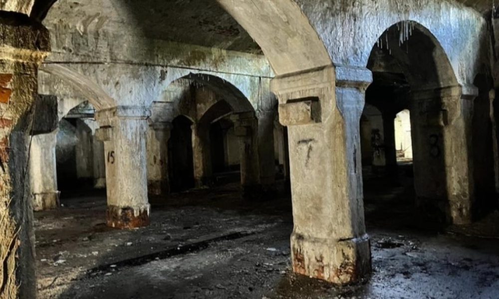 Newcastle campaigners fear loss of hidden Victorian gem