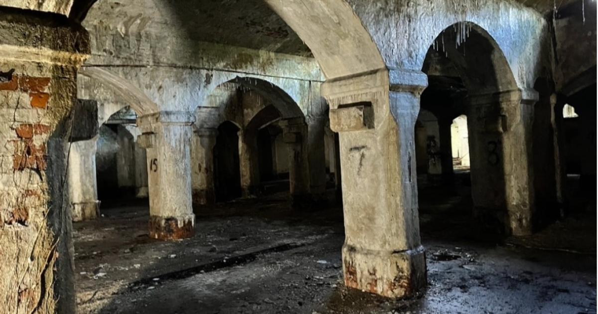 Newcastle campaigners fear loss of hidden Victorian gem