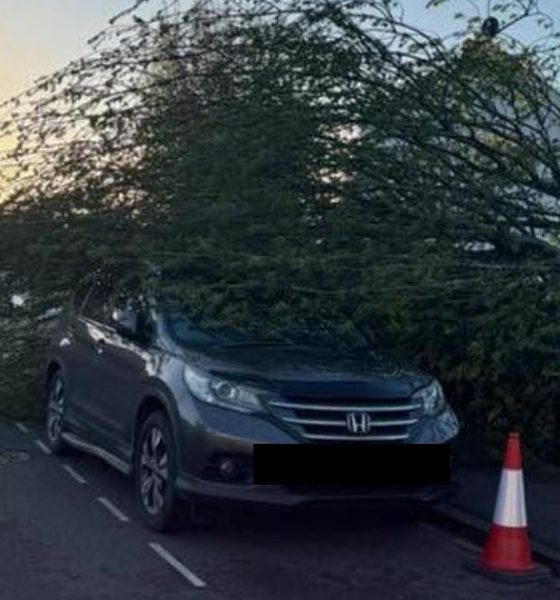 Storm Dave wreaks havoc on York and North Yorkshire