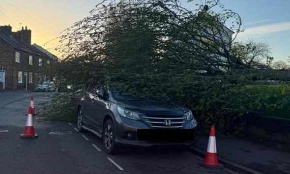 Storm Dave wreaks havoc on York and North Yorkshire