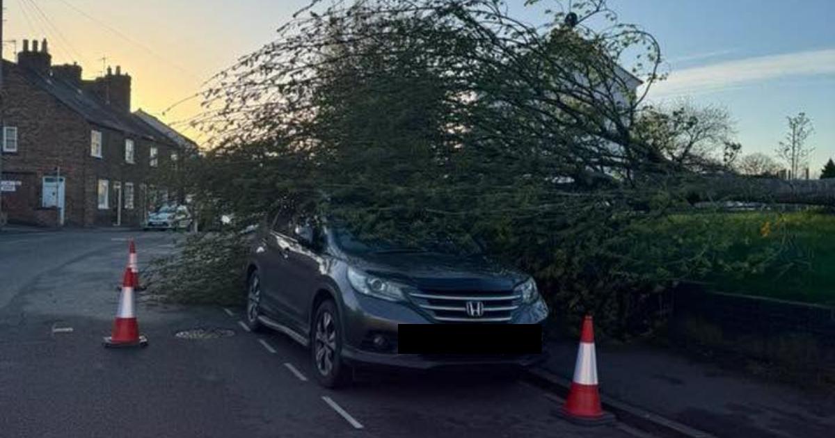 Storm Dave wreaks havoc on York and North Yorkshire