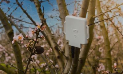 AgriSound of York to measure almond orchard pollination