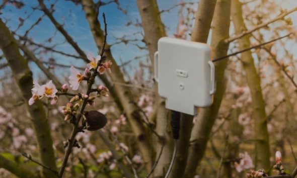 AgriSound of York to measure almond orchard pollination