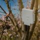 AgriSound of York to measure almond orchard pollination