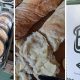 The Bread Box bakery opens in Rawcliffe in York today