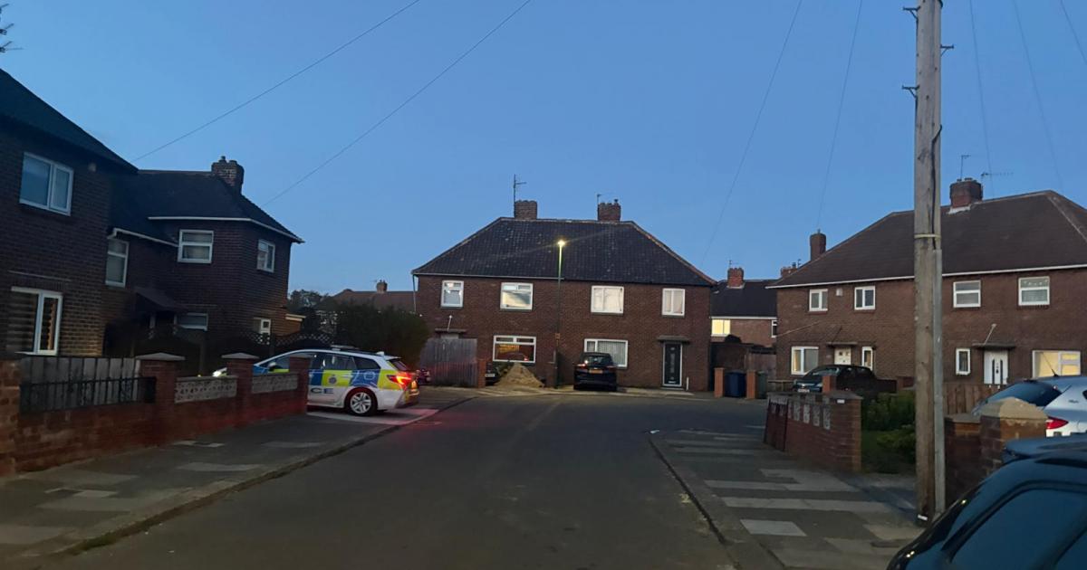 Residents shocked after child dies after Dormanstown dog attack