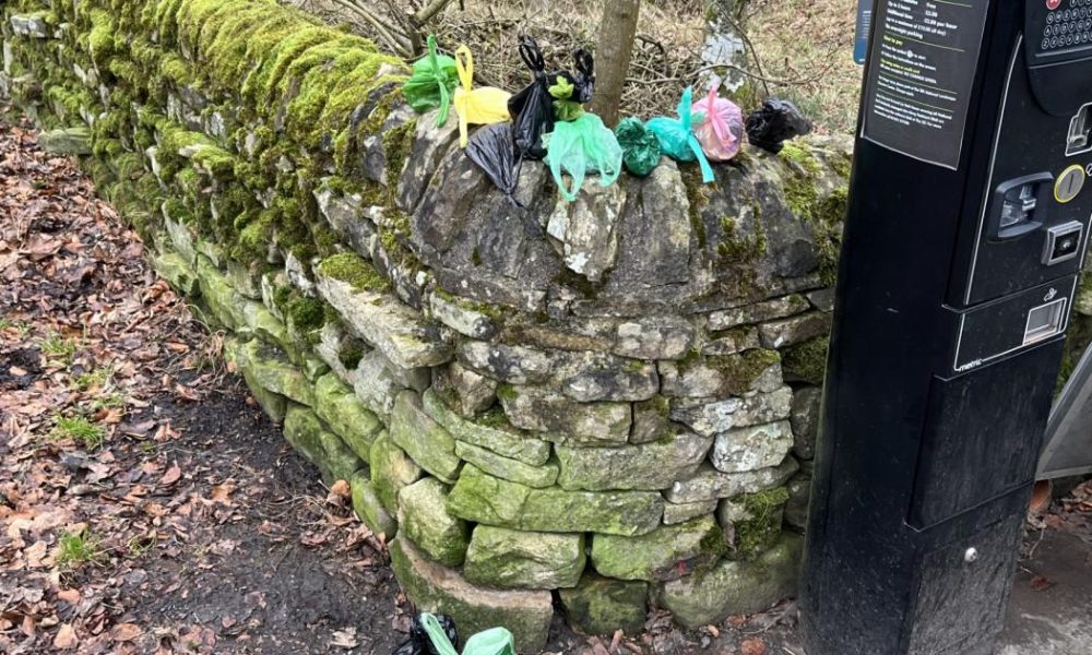 Dog owners slammed for stuffing poo bags into Hadrian's Wall